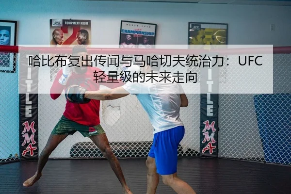 哈比布复出传闻与马哈切夫统治力：UFC轻量级的未来走向