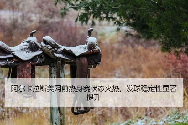 a-er-ka-la-si-mei-wang-qian-re-shen-sai-zhuang-tai-huo-re-fa-qiu-wen-ding-xing-xian-zhu-ti-sheng-2-812.jpg