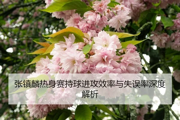 zhang-zhen-lin-re-shen-sai-chi-qiu-jin-gong-xiao-lv-yu-shi-wu-lv-shen-du-jie-xi-3-294.jpg