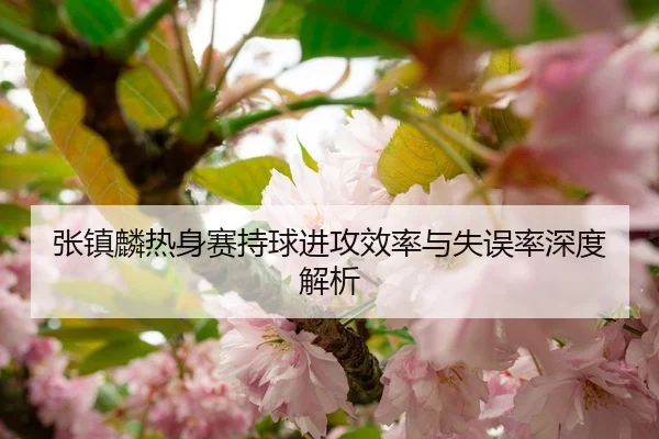 张镇麟热身赛持球进攻效率与失误率深度解析
