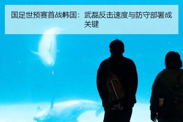 国足世预赛首战韩国：武磊反击速度与防守部署成关键