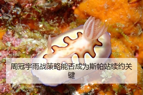周冠宇雨战策略能否成为斯帕站续约关键