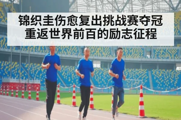 锦织圭伤愈复出挑战赛夺冠重返世界前百的励志征程